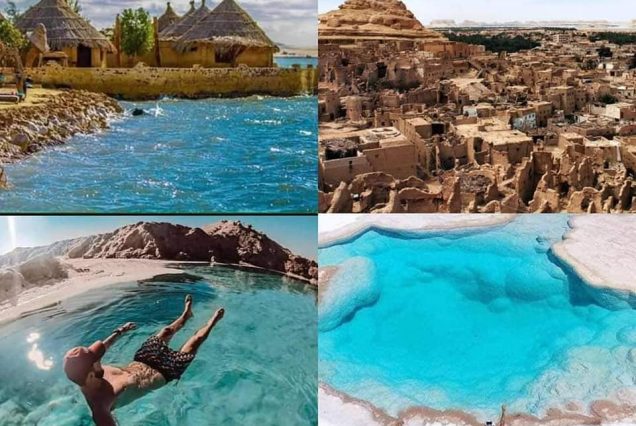 Siwa 3 days 2 nights bus